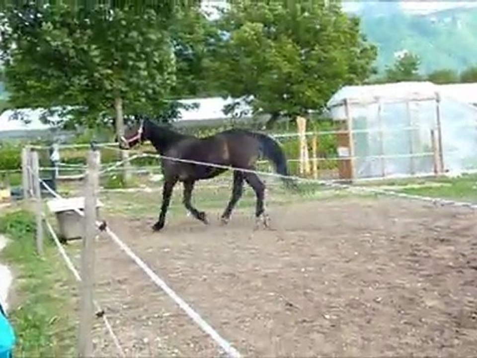cheval