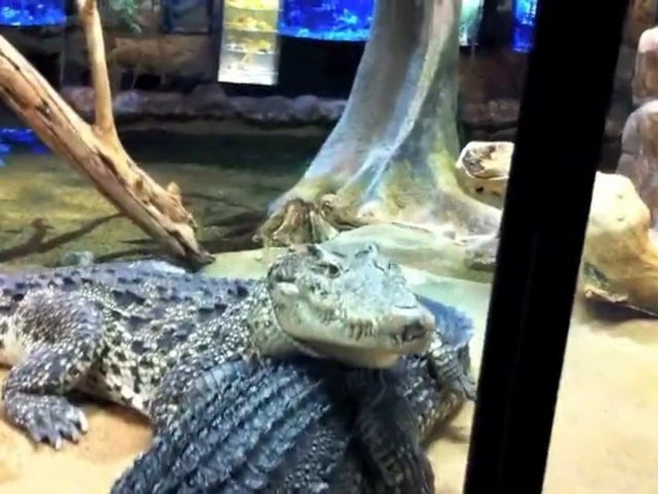 Stockholm - week-end