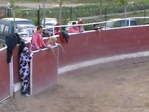 Despedidas de soltero en Logroño. capea en Logroño.