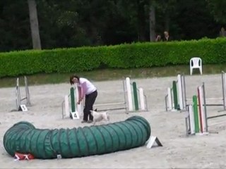 2ème manche trophée staffies