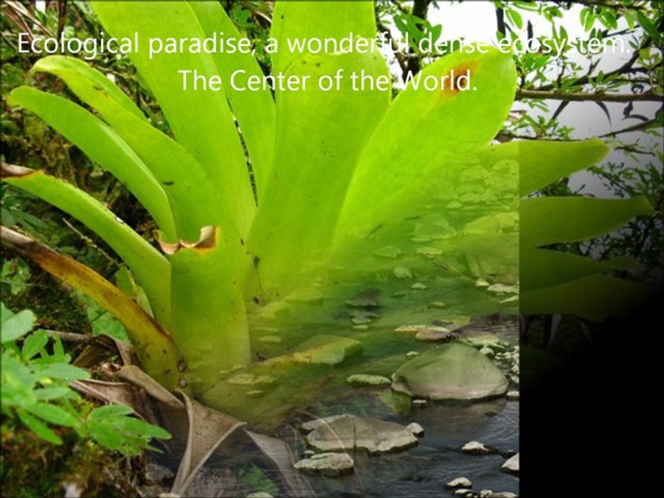 AllexpeTravel Ecuador Galapagos Amazon Highlands, Visit Ecuador, a Place of all Lands by allexpeditionsditions_Ecuador
