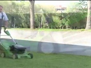 LIMSOMAL - MANTENIMIENTO Y LIMPIEZA - San Sebastian de los Reyes