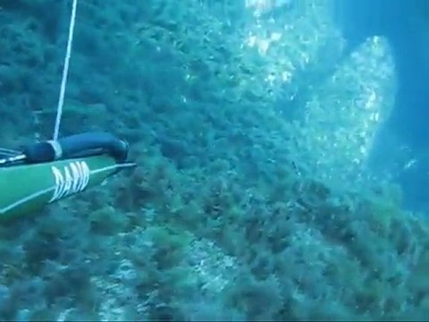 Zıpkınla Balık Avı 4 avyaban.com - ergo