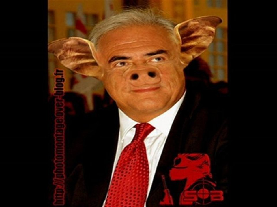 DSK ou la Divine surprise - Le Libre Penseur