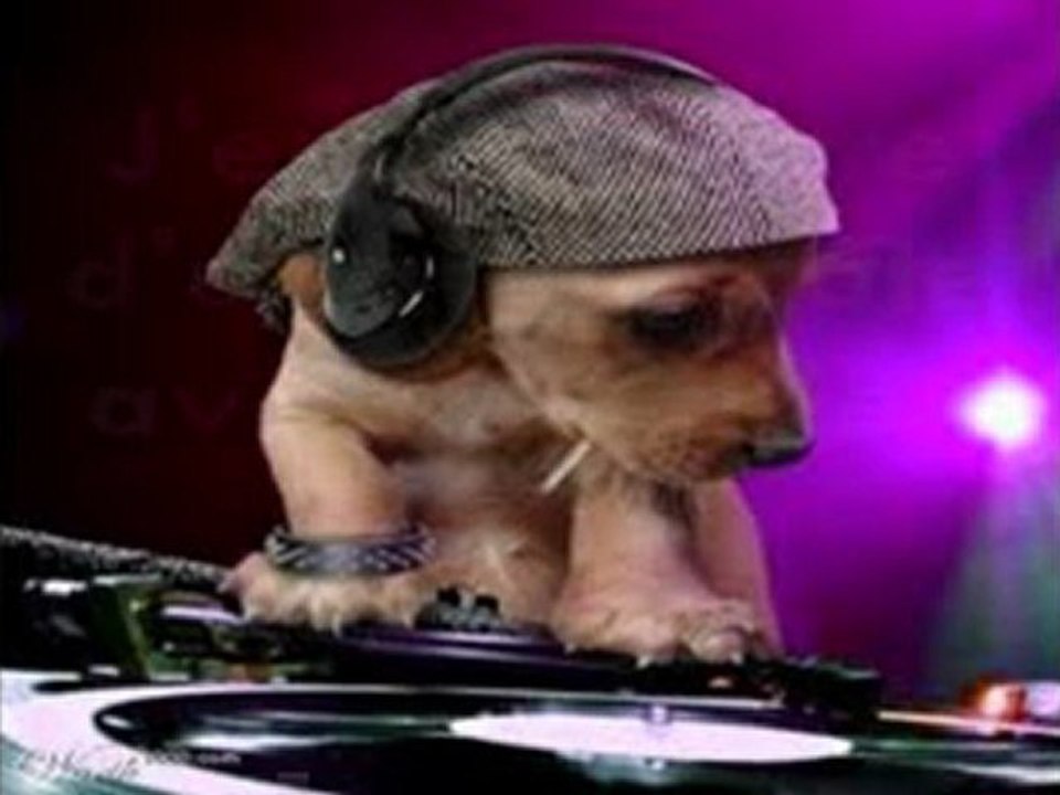 FAST & FURIOUS DJ PARTY Vendredi 27 mai Lyon