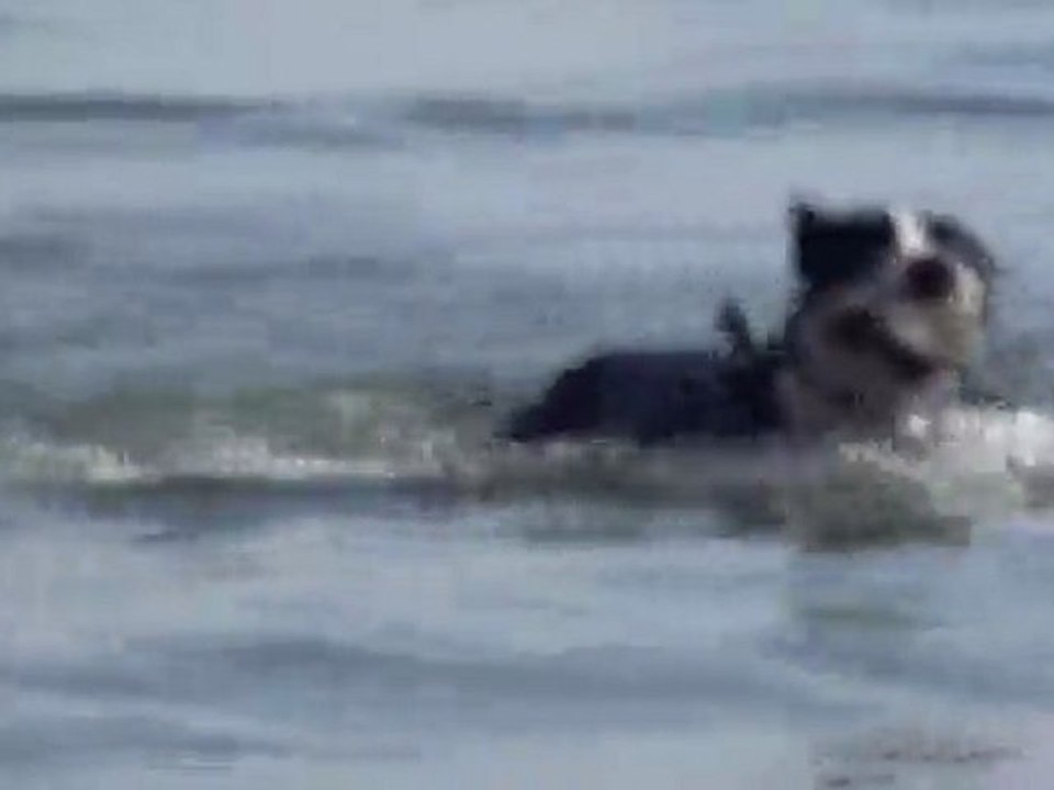 Tara Denizde Antreman