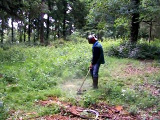 debroussaillage chez les Bush-maines