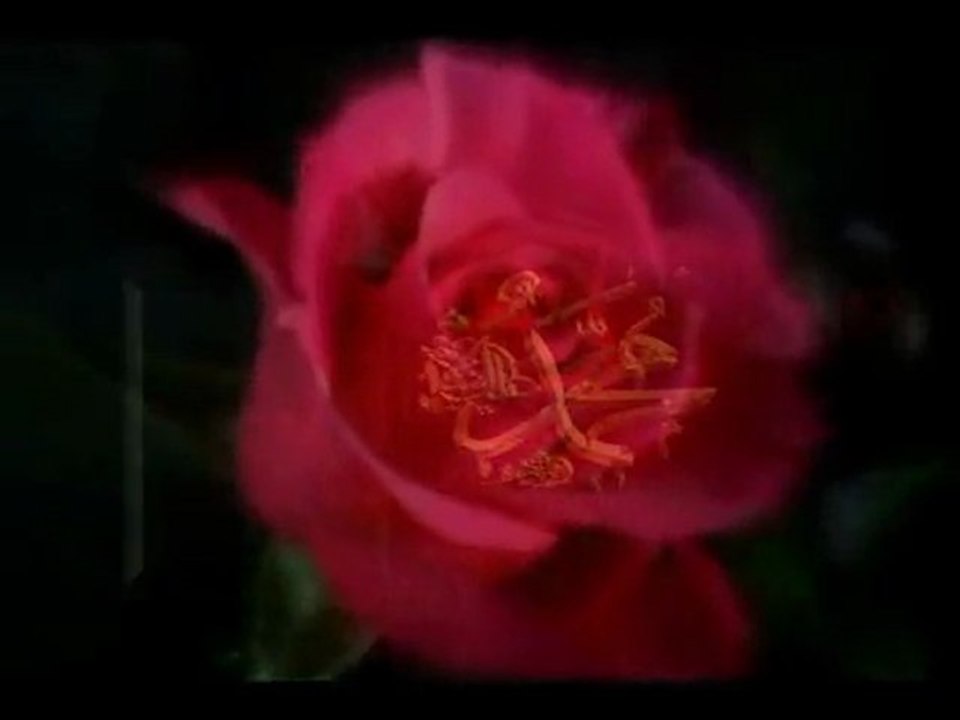 Zekeriya Maral- Gül Yaprağı Tenin