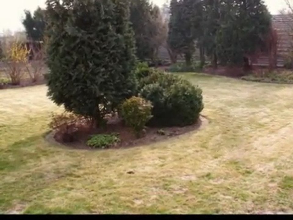 3-Zimmer-Wohnung, Peine-Ginsterweg