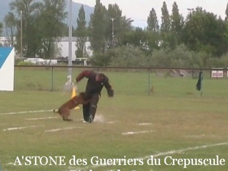 A'Stone des Guerriers du Crépuscule - 3e Sélectif 2011 (gr7)