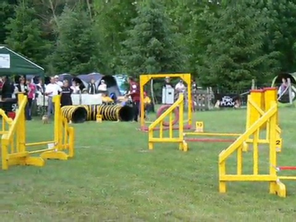 Dune Jumping 1