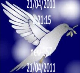 témoignage musique du groupe PLANTEC