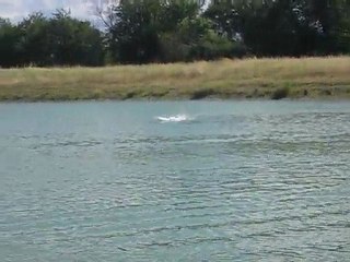 Micro P1 en réglage