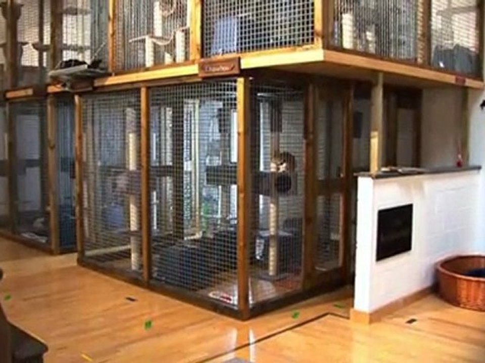 Doggy Palace-services animaux Arlon