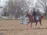 Ma ju et moi, lors de notre cours du 15 mai 2011, c'était nos premières fois à toutes les 2 qu'on prenait un obstacle au galop