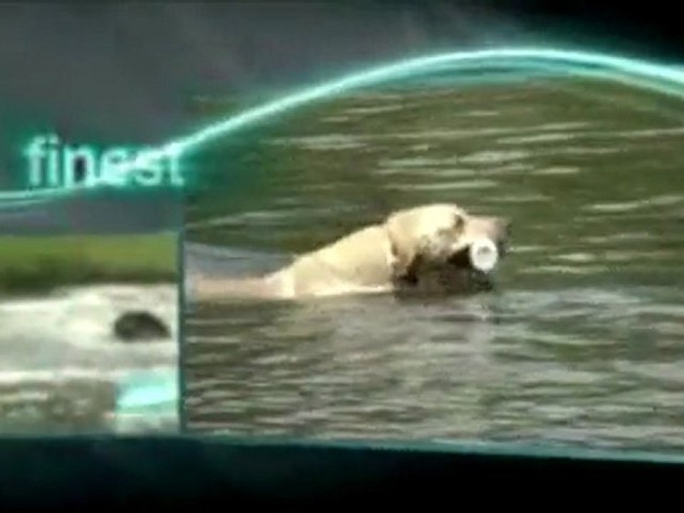 YouTube - dogtra promotion-1