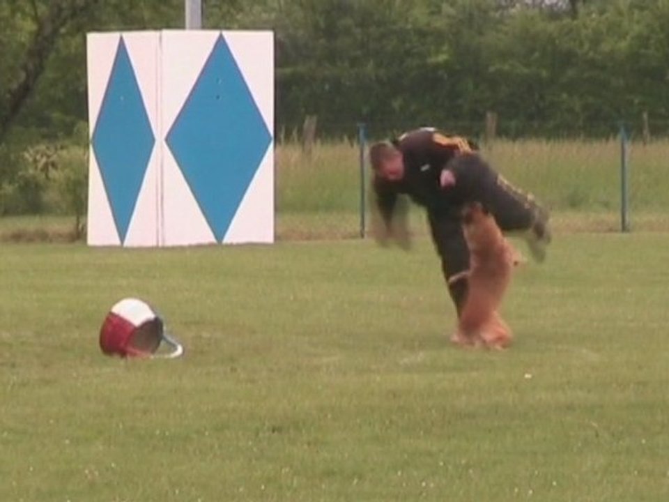 Balak - 3e Sélectif 2011 (gr7)