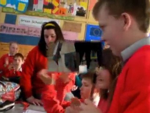 Comenius Meeting in Ireland (Peterswell)