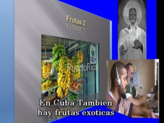 Parte 4 Un Foco Profundo De Las Tribus De Israel