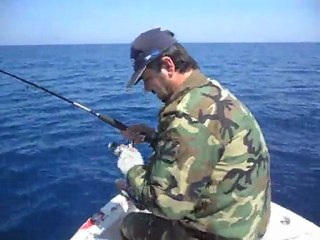 köpekbalığı avı