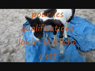 blue jewels de tjos-1