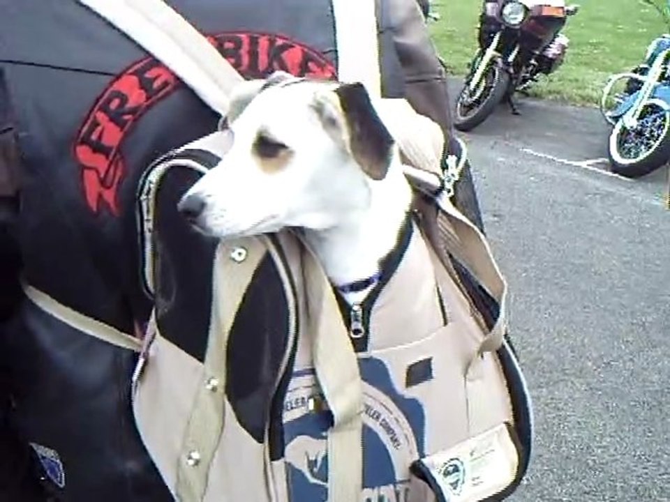 run RIDERS GHOST 2011 a