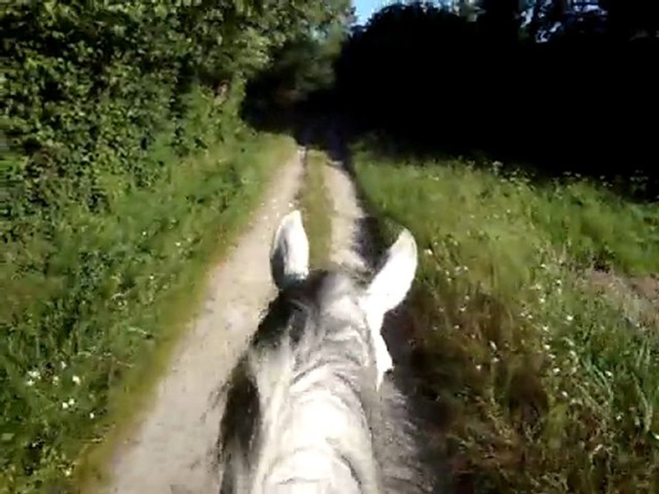 Viela balade 16 mai 2011 1