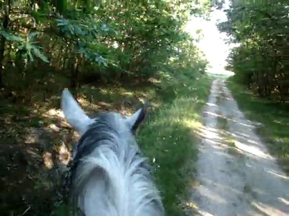 Viela balade 16 mai 2011 2