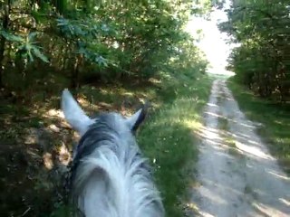 Viela balade 16 mai 2011 2