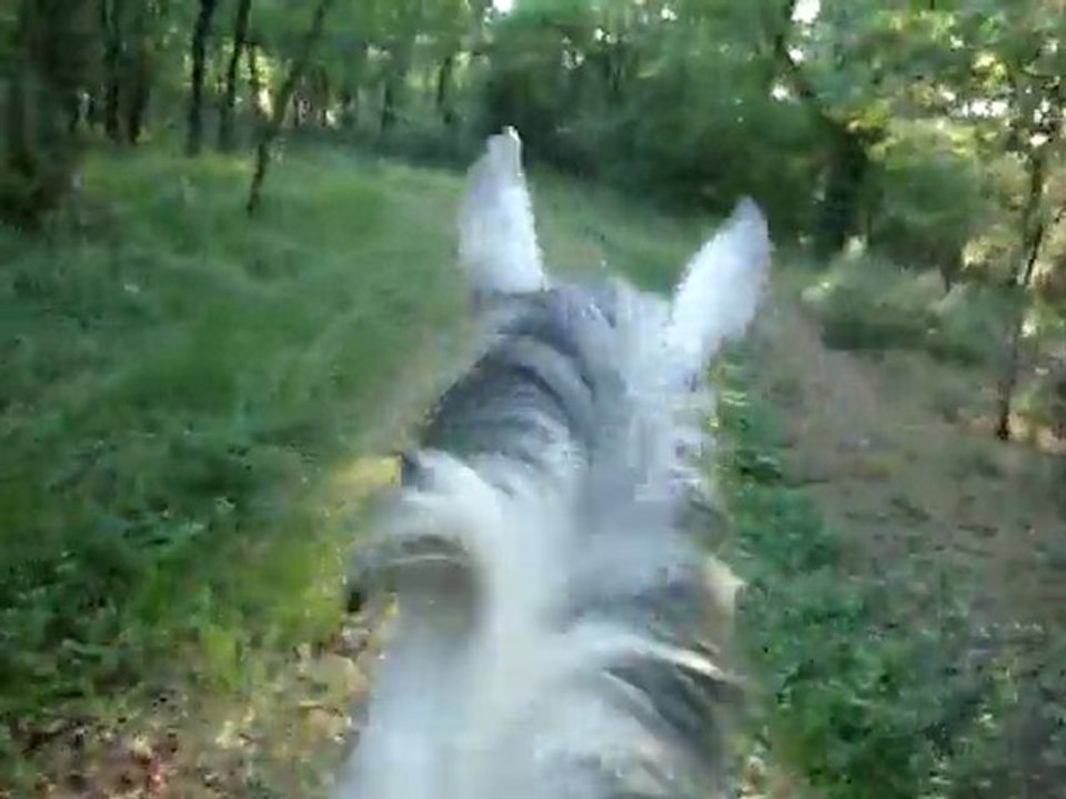 Viela balade 16 mai 2011 3