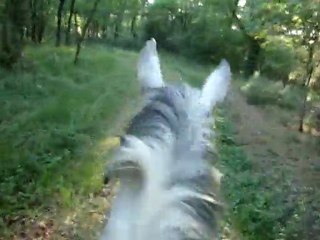 Viela balade 16 mai 2011 3