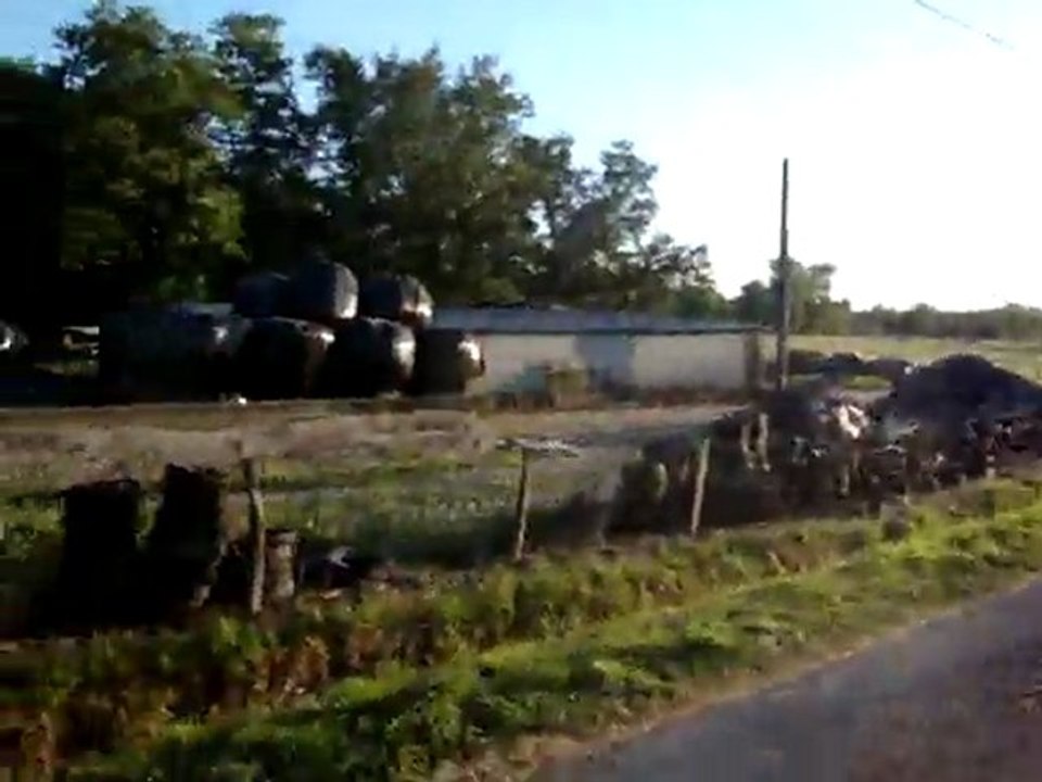 Viela balade 16 mai 2011 8