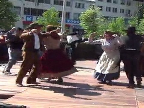 RANCHO FLORES DO CAMPO CASAL DA QUINTA-DESFILE ETNOGRÁFICO DE LEIRIA 2011