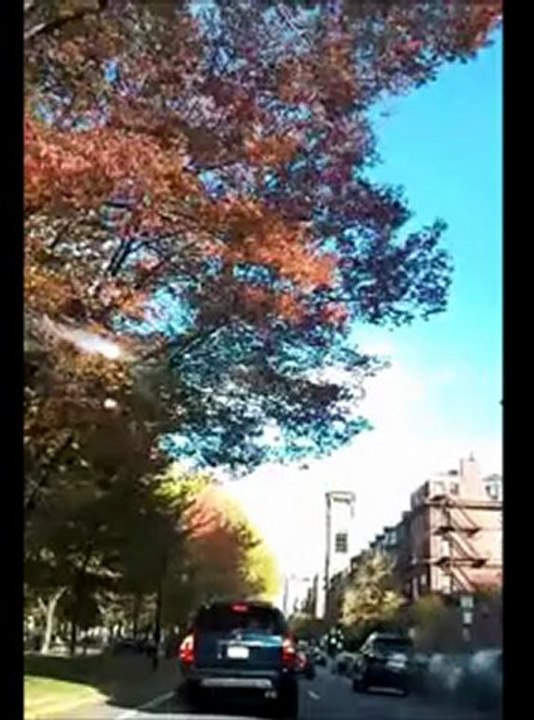 Driving to the Capitol see Peter HD