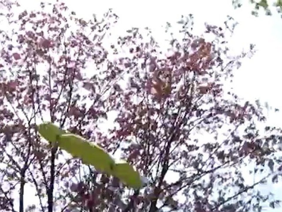 G-Form Extreme Sleeve Case iPad 2 Test - Mobilhat.com