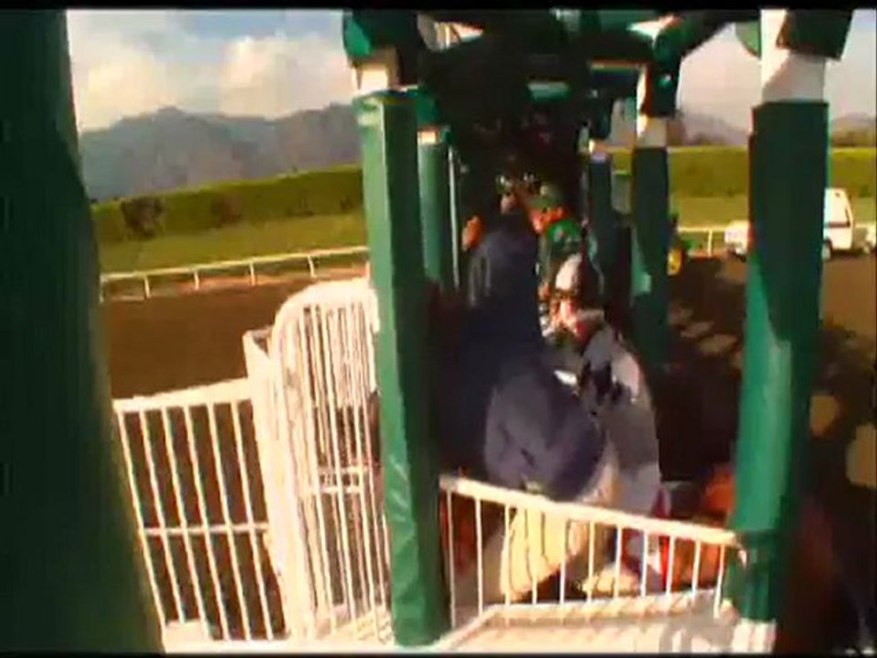 Jockey's Starting In February