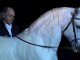 Symphonie Equestre à cheval sur la musique - 1/2 - Zycopolis Productions
