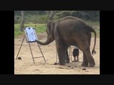 Resim yapan filler / Tayland