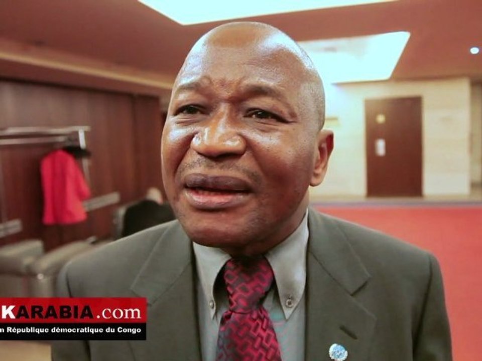 Interview de Paul Nsapu Mukulu FIDH sur les élections en RDC