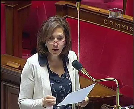 Pascale GRUNY pose une question orale sur le RSI