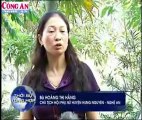 Phụ nữ Nghệ An cùng giúp nhau phát triển