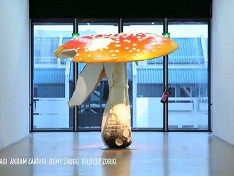 Nouvelle présentation des collections contemporaines