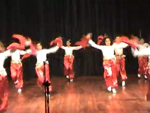 TED Isparta Okul Gecesi 16 Mayıs 2011