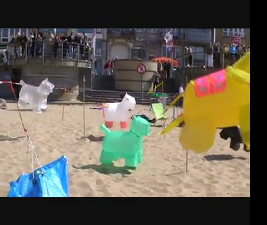 festival Oostende 2011