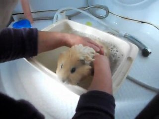 Nishi prend son bain 1