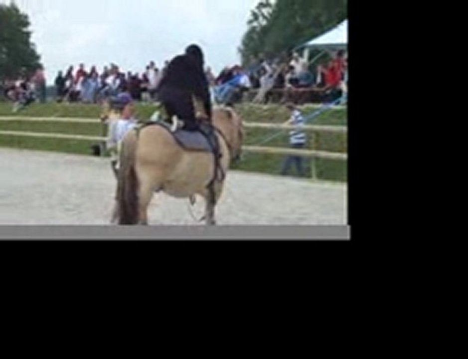 Voltige 2011.mov