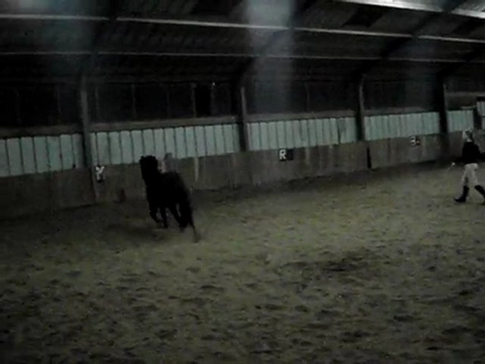 Saut2