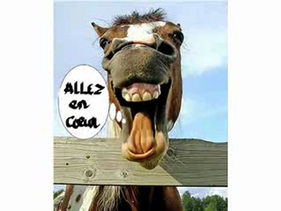 Diras que estoy loco