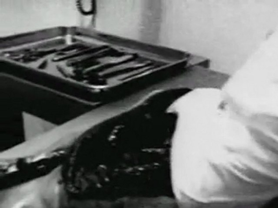 Uzaylı Otopsi full, Alien Autopsy www.andromedids.com +18