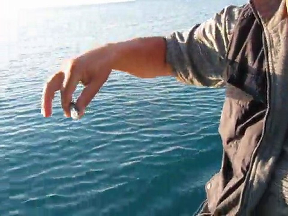 milanuru suya iade 2